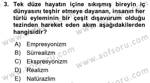 Batı Edebiyatında Akımlar 2 Dersi 2018 - 2019 Yılı (Vize) Ara Sınav Soruları 3. Soru
