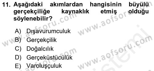 Batı Edebiyatında Akımlar 2 Dersi 2018 - 2019 Yılı (Final) Dönem Sonu Sınav Soruları 11. Soru