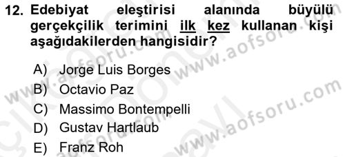 Batı Edebiyatında Akımlar 2 Dersi 2018 - 2019 Yılı (Final) Dönem Sonu Sınav Soruları 12. Soru