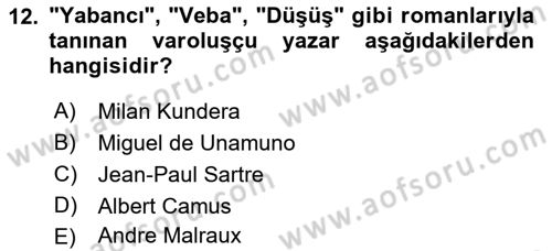 Batı Edebiyatında Akımlar 2 Dersi 2018 - 2019 Yılı Yaz Okulu Sınav Soruları 12. Soru