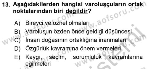 Batı Edebiyatında Akımlar 2 Dersi 2018 - 2019 Yılı Yaz Okulu Sınav Soruları 13. Soru