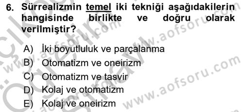 Batı Edebiyatında Akımlar 2 Dersi 2018 - 2019 Yılı Yaz Okulu Sınav Soruları 6. Soru