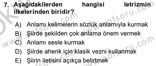 Batı Edebiyatında Akımlar 2 Dersi 2018 - 2019 Yılı Yaz Okulu Sınav Soruları 7. Soru