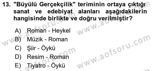 Batı Edebiyatında Akımlar 2 Dersi 2020 - 2021 Yılı Yaz Okulu Sınav Soruları 13. Soru