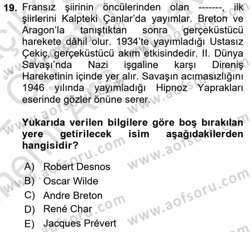 Batı Edebiyatında Akımlar 2 Dersi 2021 - 2022 Yılı (Vize) Ara Sınav Soruları 19. Soru