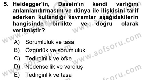 Batı Edebiyatında Akımlar 2 Dersi 2021 - 2022 Yılı (Final) Dönem Sonu Sınav Soruları 5. Soru