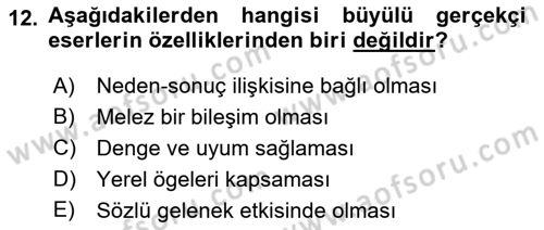Batı Edebiyatında Akımlar 2 Dersi 2021 - 2022 Yılı Yaz Okulu Sınav Soruları 12. Soru