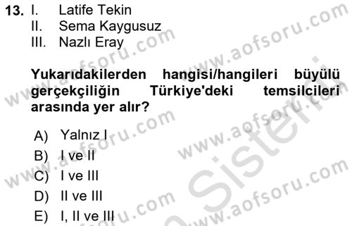 Batı Edebiyatında Akımlar 2 Dersi 2021 - 2022 Yılı Yaz Okulu Sınav Soruları 13. Soru