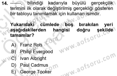 Batı Edebiyatında Akımlar 2 Dersi 2021 - 2022 Yılı Yaz Okulu Sınav Soruları 14. Soru