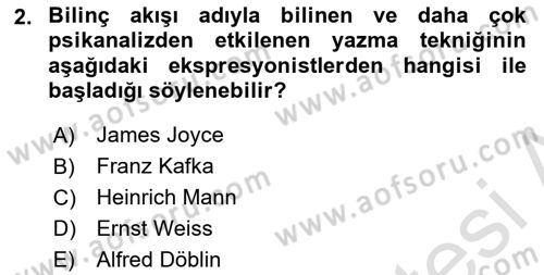 Batı Edebiyatında Akımlar 2 Dersi 2022 - 2023 Yılı Yaz Okulu Sınav Soruları 2. Soru