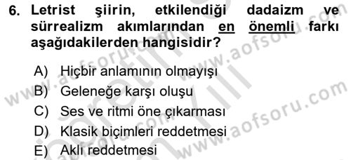 Batı Edebiyatında Akımlar 2 Dersi 2022 - 2023 Yılı Yaz Okulu Sınav Soruları 6. Soru