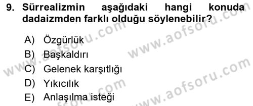 Batı Edebiyatında Akımlar 2 Dersi 2022 - 2023 Yılı Yaz Okulu Sınav Soruları 9. Soru