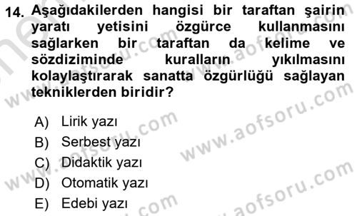 Batı Edebiyatında Akımlar 2 Dersi 2023 - 2024 Yılı (Vize) Ara Sınav Soruları 14. Soru
