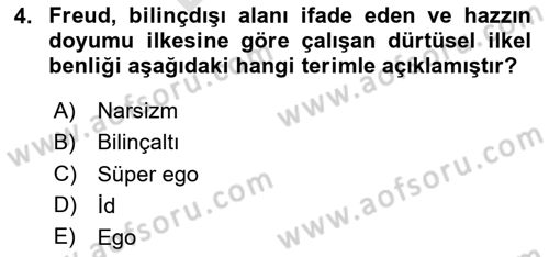 Batı Edebiyatında Akımlar 2 Dersi 2023 - 2024 Yılı (Final) Dönem Sonu Sınav Soruları 4. Soru