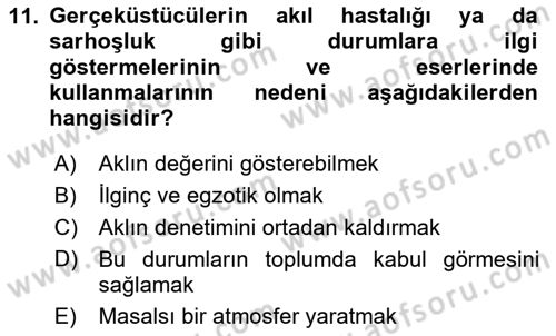 Batı Edebiyatında Akımlar 2 Dersi 2023 - 2024 Yılı Yaz Okulu Sınav Soruları 11. Soru