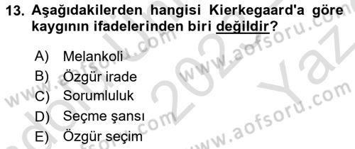 Batı Edebiyatında Akımlar 2 Dersi 2023 - 2024 Yılı Yaz Okulu Sınav Soruları 13. Soru