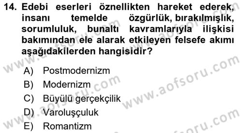 Batı Edebiyatında Akımlar 2 Dersi 2023 - 2024 Yılı Yaz Okulu Sınav Soruları 14. Soru