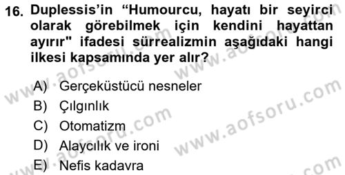Batı Edebiyatında Akımlar 2 Dersi 2024 - 2025 Yılı (Vize) Ara Sınav Soruları 16. Soru