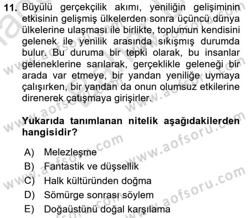 Batı Edebiyatında Akımlar 2 Dersi 2024 - 2025 Yılı (Final) Dönem Sonu Sınav Soruları 11. Soru