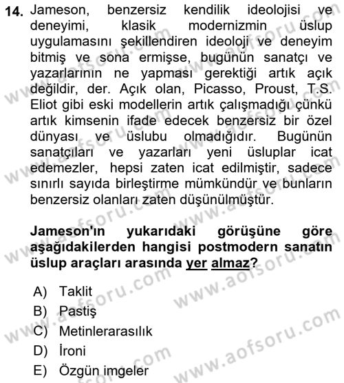 Batı Edebiyatında Akımlar 2 Dersi 2024 - 2025 Yılı (Final) Dönem Sonu Sınav Soruları 14. Soru