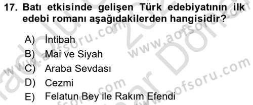 Batı Edebiyatında Akımlar 2 Dersi 2024 - 2025 Yılı (Final) Dönem Sonu Sınav Soruları 17. Soru