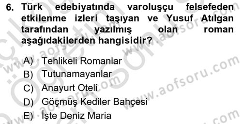 Batı Edebiyatında Akımlar 2 Dersi 2024 - 2025 Yılı (Final) Dönem Sonu Sınav Soruları 6. Soru