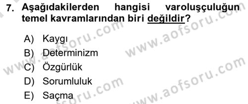 Batı Edebiyatında Akımlar 2 Dersi 2024 - 2025 Yılı (Final) Dönem Sonu Sınav Soruları 7. Soru