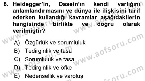 Batı Edebiyatında Akımlar 2 Dersi 2024 - 2025 Yılı (Final) Dönem Sonu Sınav Soruları 8. Soru
