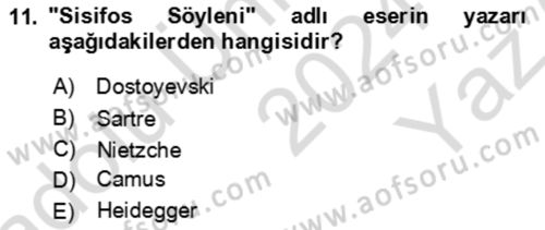 Batı Edebiyatında Akımlar 2 Dersi 2024 - 2025 Yılı Yaz Okulu Sınav Soruları 11. Soru