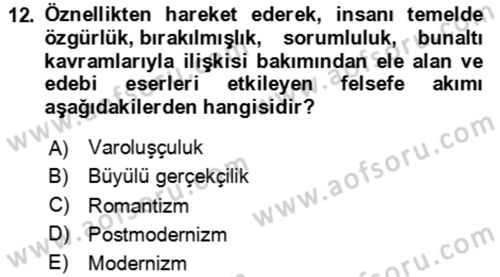 Batı Edebiyatında Akımlar 2 Dersi 2024 - 2025 Yılı Yaz Okulu Sınav Soruları 12. Soru