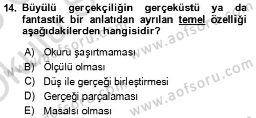 Batı Edebiyatında Akımlar 2 Dersi 2024 - 2025 Yılı Yaz Okulu Sınav Soruları 14. Soru