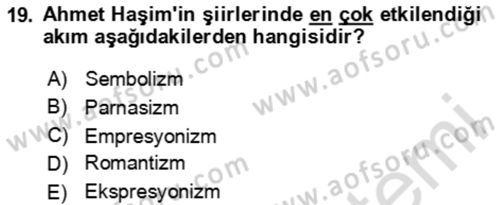 Batı Edebiyatında Akımlar 2 Dersi 2024 - 2025 Yılı Yaz Okulu Sınav Soruları 19. Soru