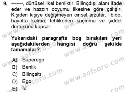 Batı Edebiyatında Akımlar 2 Dersi 2024 - 2025 Yılı Yaz Okulu Sınav Soruları 9. Soru