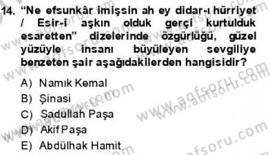 Yeni Türk Edebiyatına Giriş 1 Dersi 2013 - 2014 Yılı (Final) Dönem Sonu Sınav Soruları 14. Soru