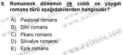 Yeni Türk Edebiyatına Giriş 1 Dersi Ara Sınavı Deneme Sınav Soruları 9. Soru