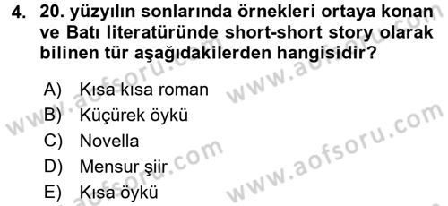 Yeni Türk Edebiyatına Giriş 1 Dersi 2017 - 2018 Yılı (Final) Dönem Sonu Sınav Soruları 4. Soru