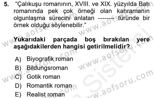 Yeni Türk Edebiyatına Giriş 1 Dersi 2017 - 2018 Yılı (Final) Dönem Sonu Sınav Soruları 5. Soru