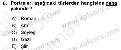 Yeni Türk Edebiyatına Giriş 1 Dersi 2017 - 2018 Yılı (Final) Dönem Sonu Sınav Soruları 6. Soru