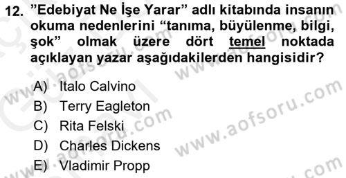 Yeni Türk Edebiyatına Giriş 1 Dersi Ara Sınavı Deneme Sınav Soruları 12. Soru
