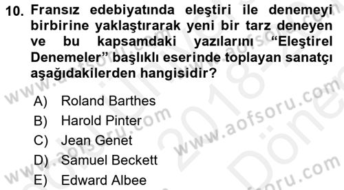Yeni Türk Edebiyatına Giriş 1 Dersi 2018 - 2019 Yılı (Final) Dönem Sonu Sınav Soruları 10. Soru