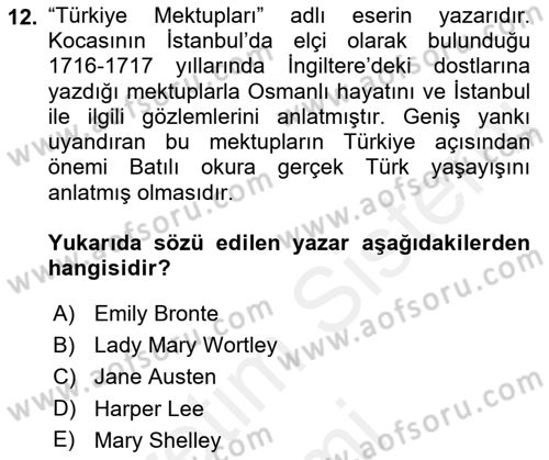 Yeni Türk Edebiyatına Giriş 1 Dersi 2018 - 2019 Yılı (Final) Dönem Sonu Sınav Soruları 12. Soru