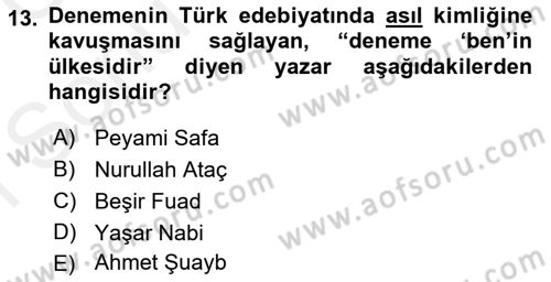 Yeni Türk Edebiyatına Giriş 1 Dersi 2018 - 2019 Yılı (Final) Dönem Sonu Sınav Soruları 13. Soru