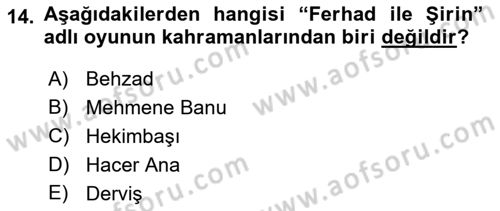 Yeni Türk Edebiyatına Giriş 1 Dersi 2018 - 2019 Yılı (Final) Dönem Sonu Sınav Soruları 14. Soru