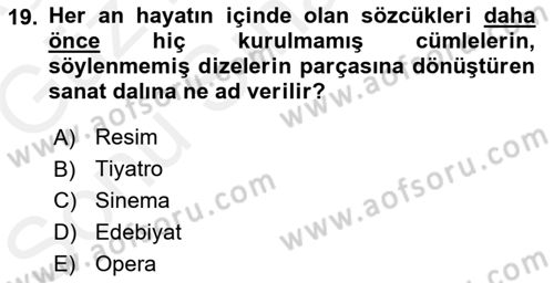 Yeni Türk Edebiyatına Giriş 1 Dersi 2018 - 2019 Yılı (Final) Dönem Sonu Sınav Soruları 19. Soru