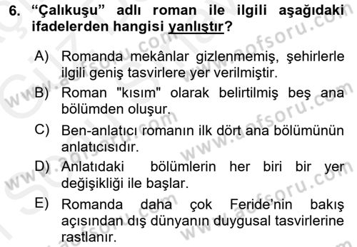 Yeni Türk Edebiyatına Giriş 1 Dersi 2018 - 2019 Yılı (Final) Dönem Sonu Sınav Soruları 6. Soru