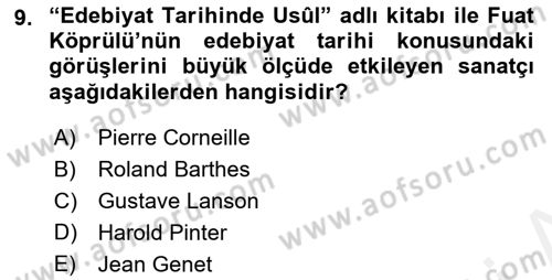 Yeni Türk Edebiyatına Giriş 1 Dersi 2018 - 2019 Yılı (Final) Dönem Sonu Sınav Soruları 9. Soru