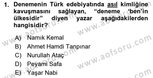 Yeni Türk Edebiyatına Giriş 1 Dersi 2018 - 2019 Yılı Yaz Okulu Sınav Soruları 1. Soru