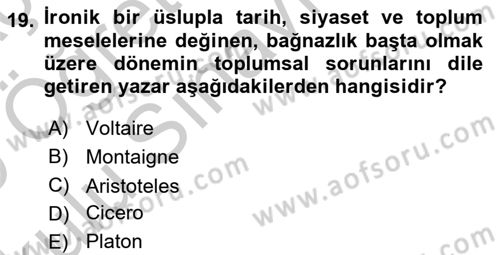 Yeni Türk Edebiyatına Giriş 1 Dersi 2018 - 2019 Yılı Yaz Okulu Sınav Soruları 19. Soru