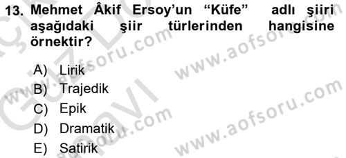 Yeni Türk Edebiyatına Giriş 1 Dersi 2019 - 2020 Yılı (Vize) Ara Sınav Soruları 13. Soru