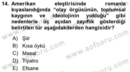 Yeni Türk Edebiyatına Giriş 1 Dersi 2019 - 2020 Yılı (Final) Dönem Sonu Sınav Soruları 14. Soru